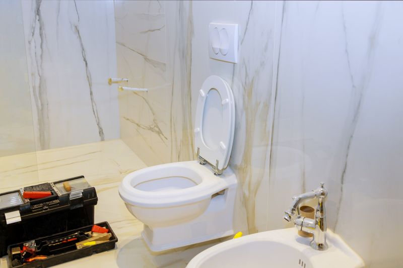 Basement Toilet Installation